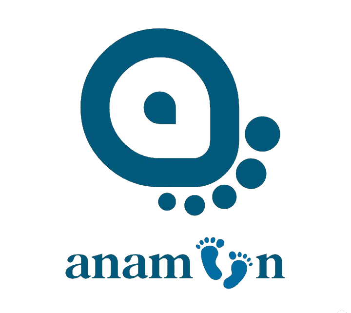 Anamon Logo Lower Case 2 (Transparent)