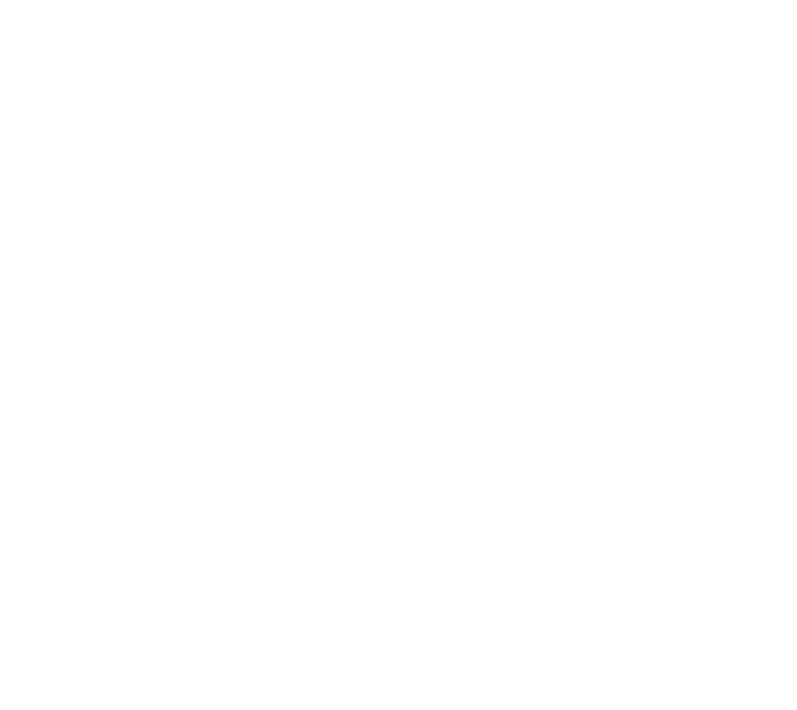 Anamon Logo Lower Case (White Transparent)